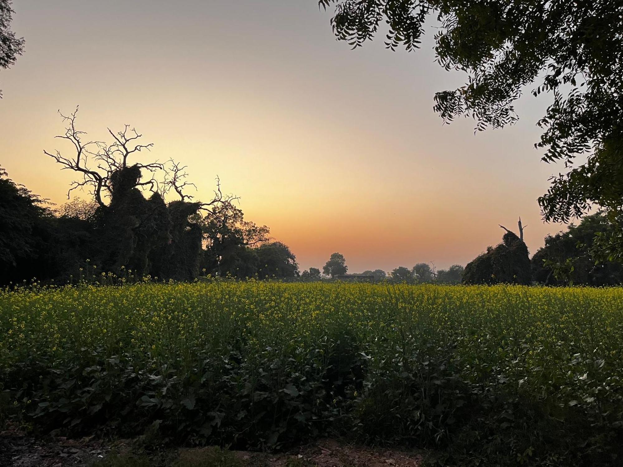 Sharad Baug Homestay Bhuj Exterior foto